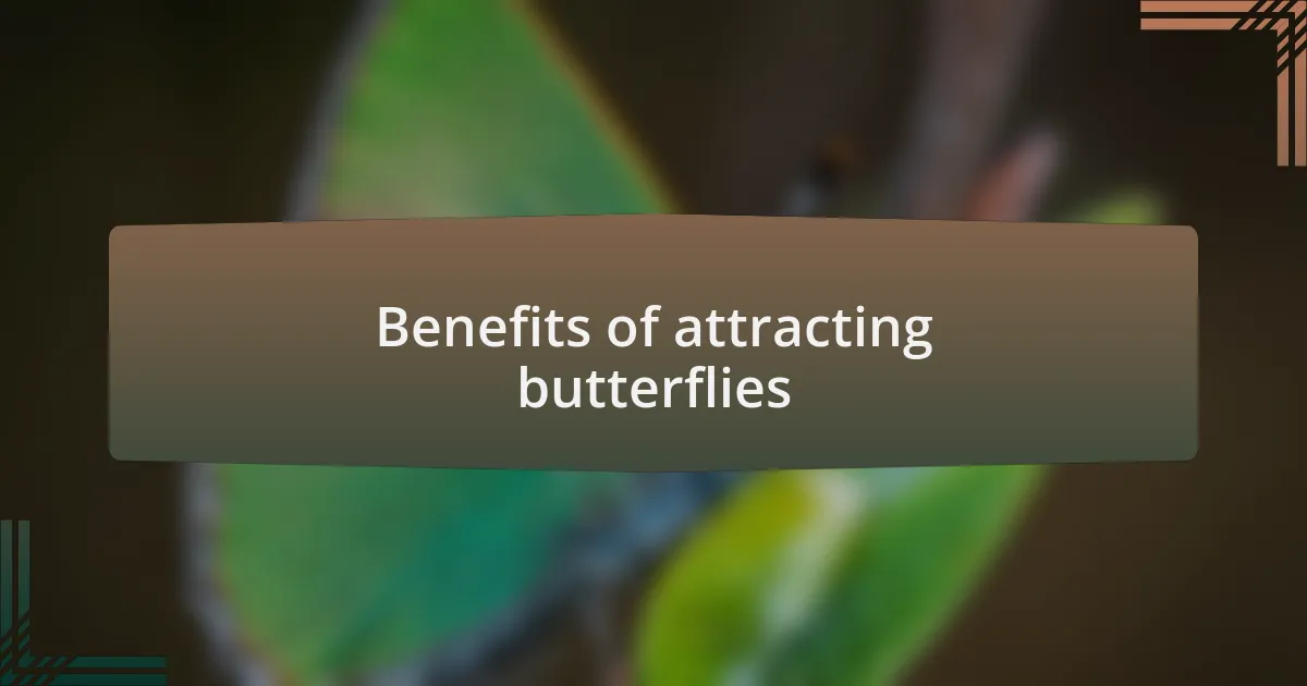Benefits of attracting butterflies