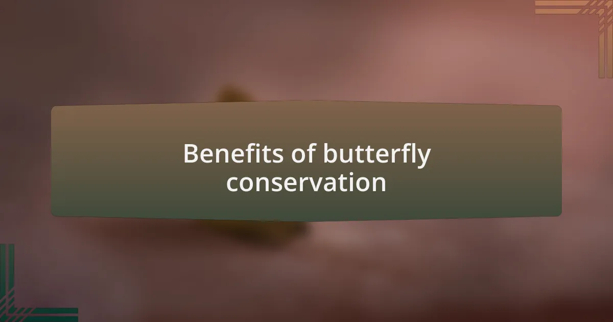 Benefits of butterfly conservation