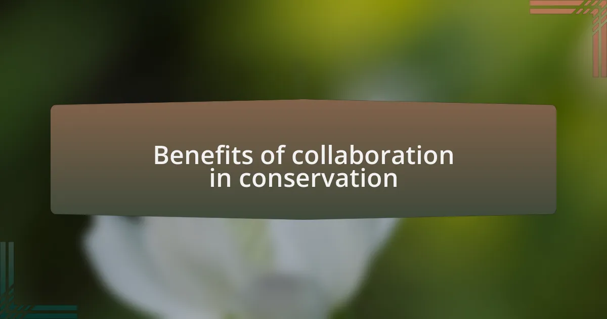 Benefits of collaboration in conservation