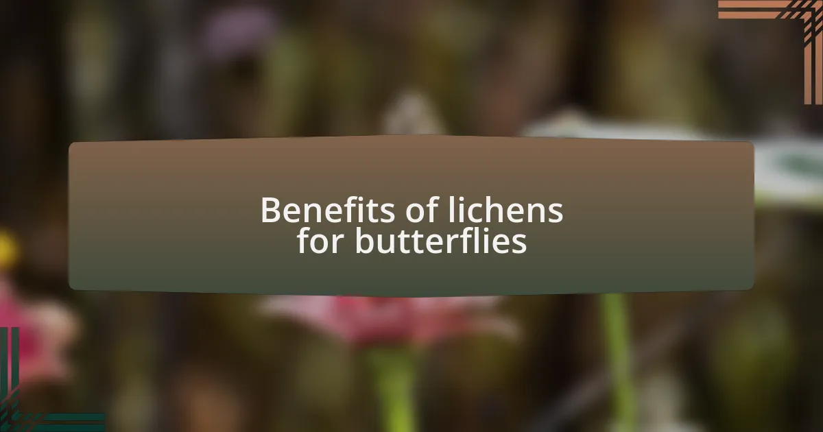 Benefits of lichens for butterflies