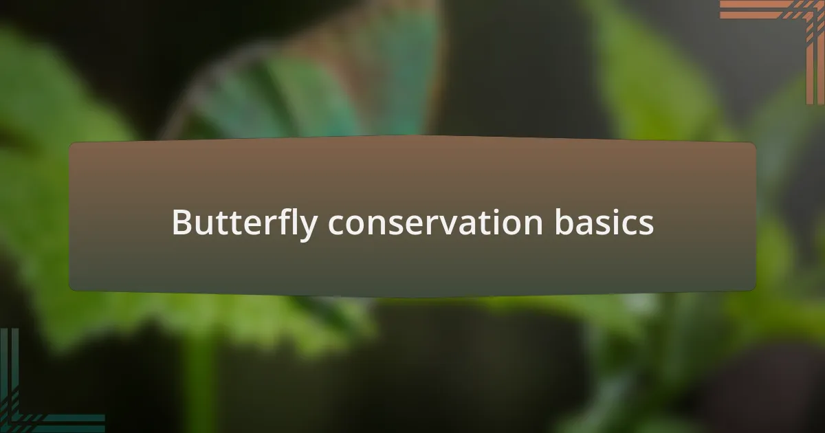 Butterfly conservation basics