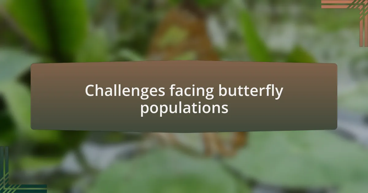 Challenges facing butterfly populations