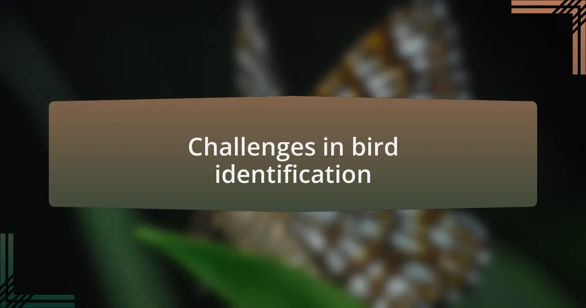 Challenges in bird identification