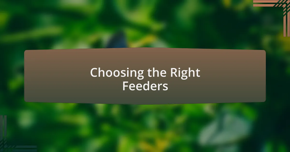 Choosing the Right Feeders