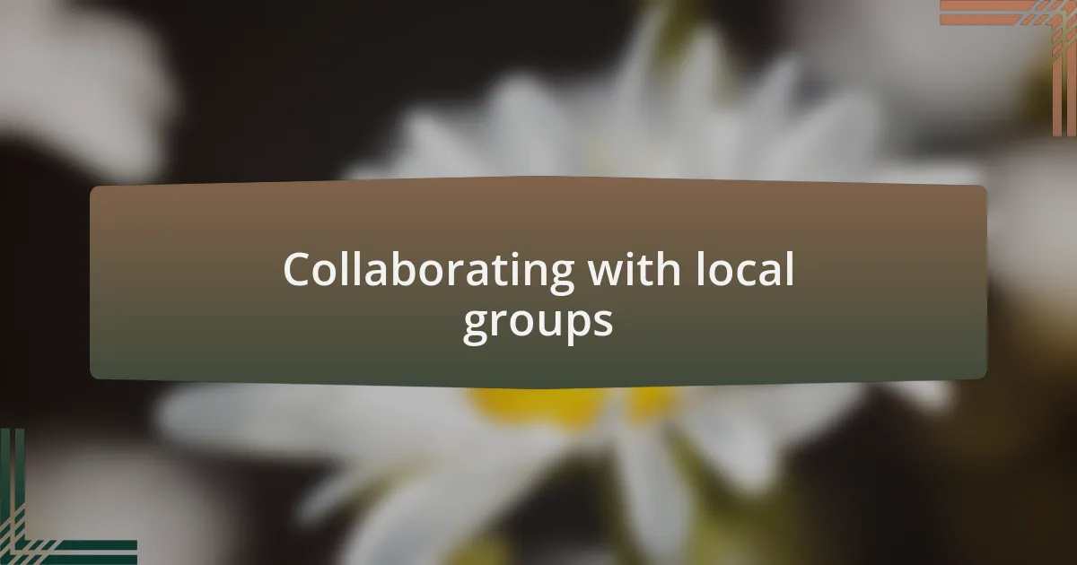 Collaborating with local groups