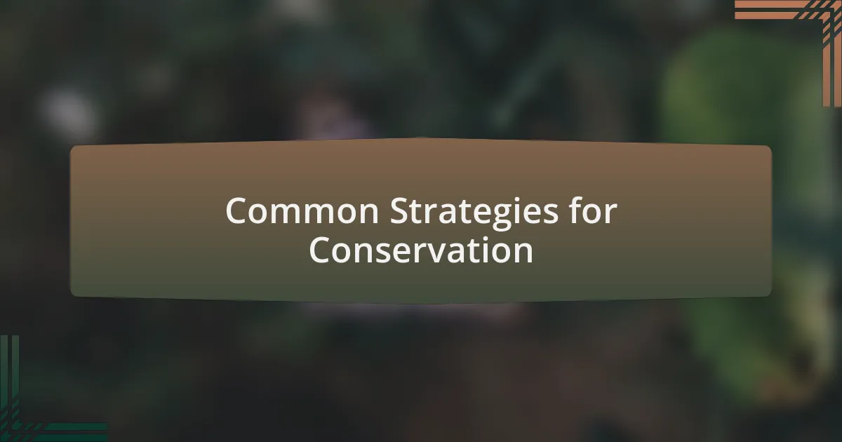Common Strategies for Conservation