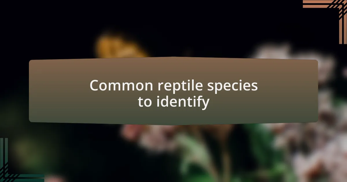 Common reptile species to identify