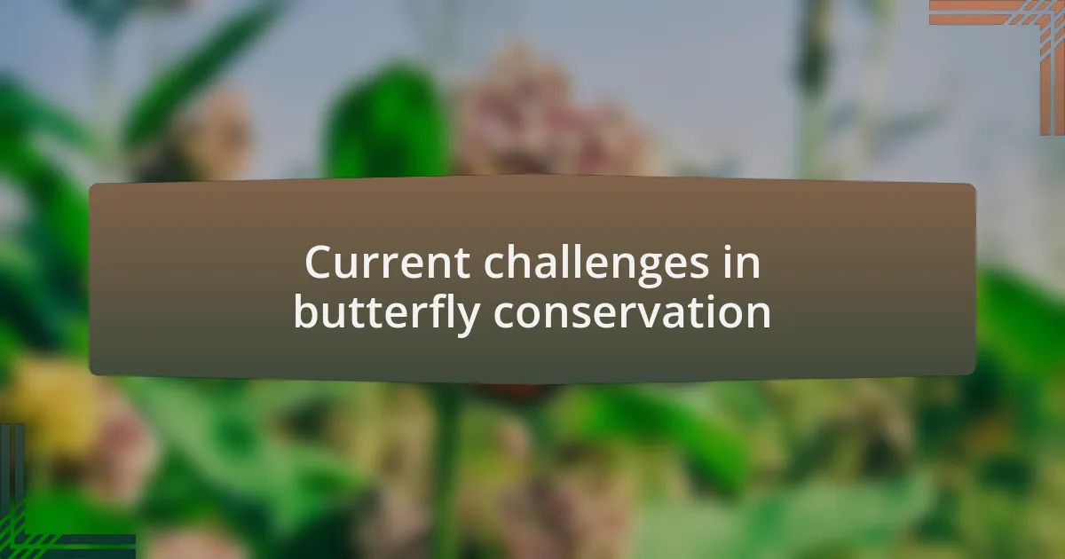 Current challenges in butterfly conservation