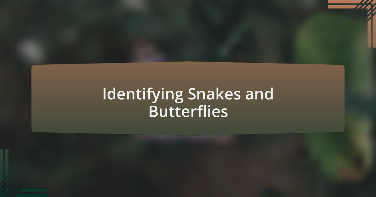 Identifying Snakes and Butterflies