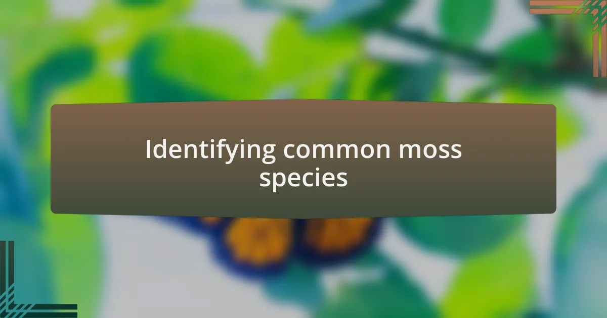 Identifying common moss species