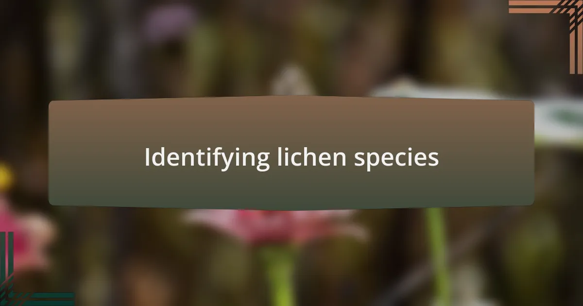 Identifying lichen species