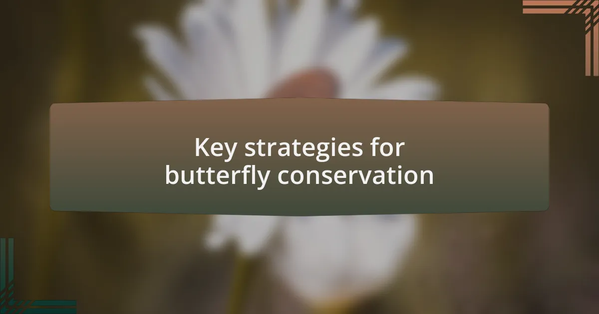Key strategies for butterfly conservation