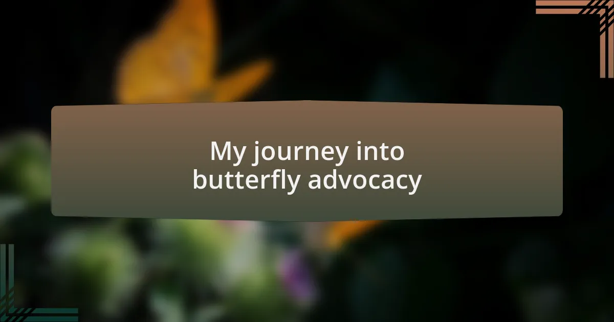My journey into butterfly advocacy