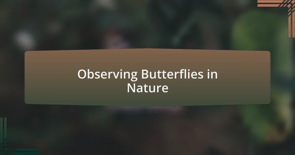 Observing Butterflies in Nature