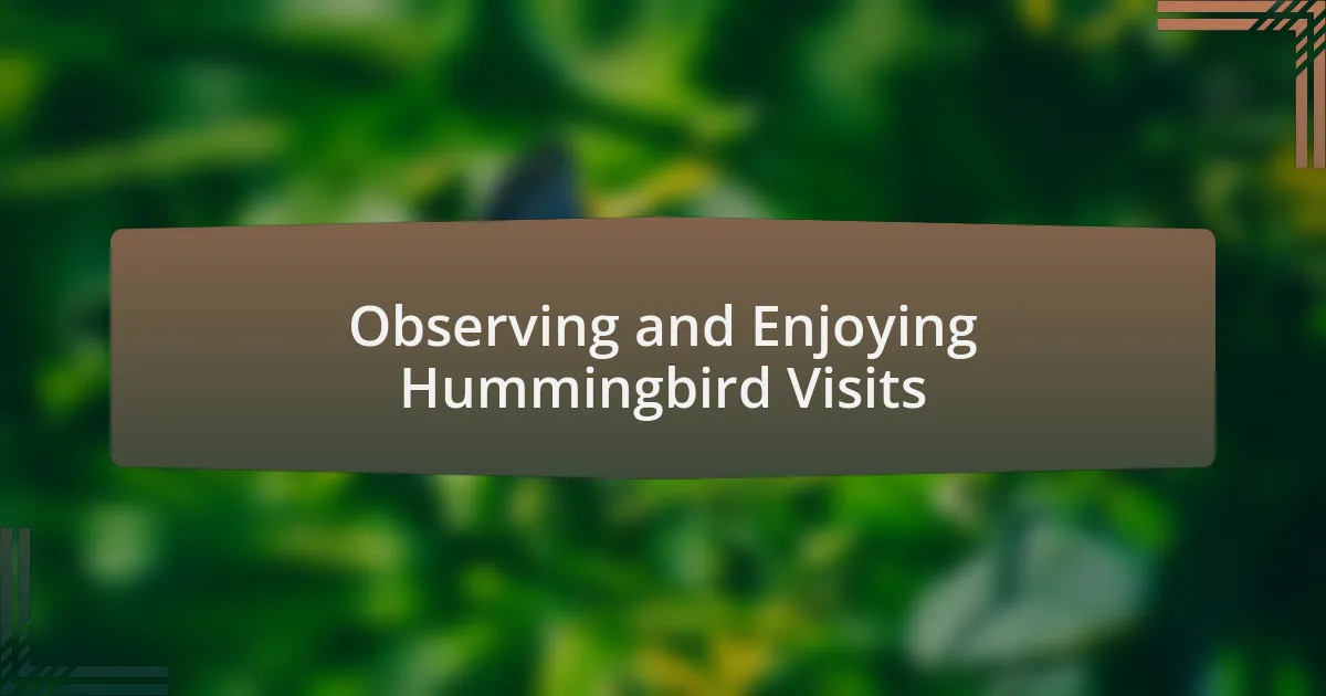 Observing and Enjoying Hummingbird Visits