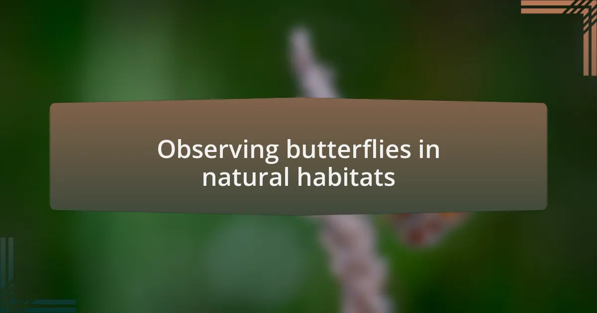 Observing butterflies in natural habitats