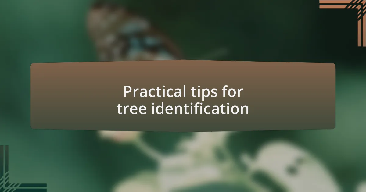 Practical tips for tree identification