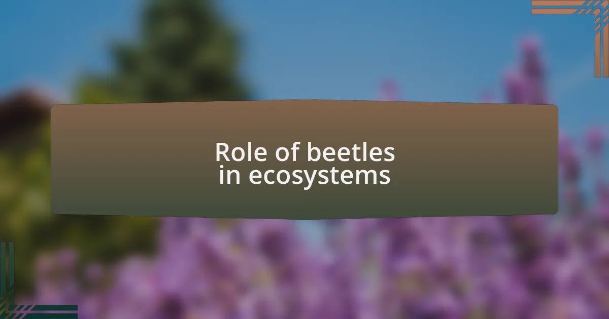 Role of beetles in ecosystems