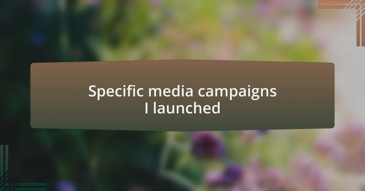 Specific media campaigns I launched