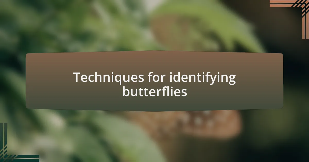 Techniques for identifying butterflies