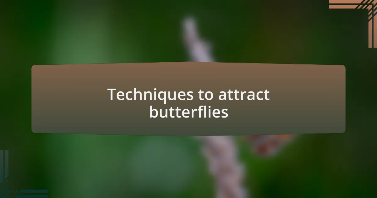 Techniques to attract butterflies