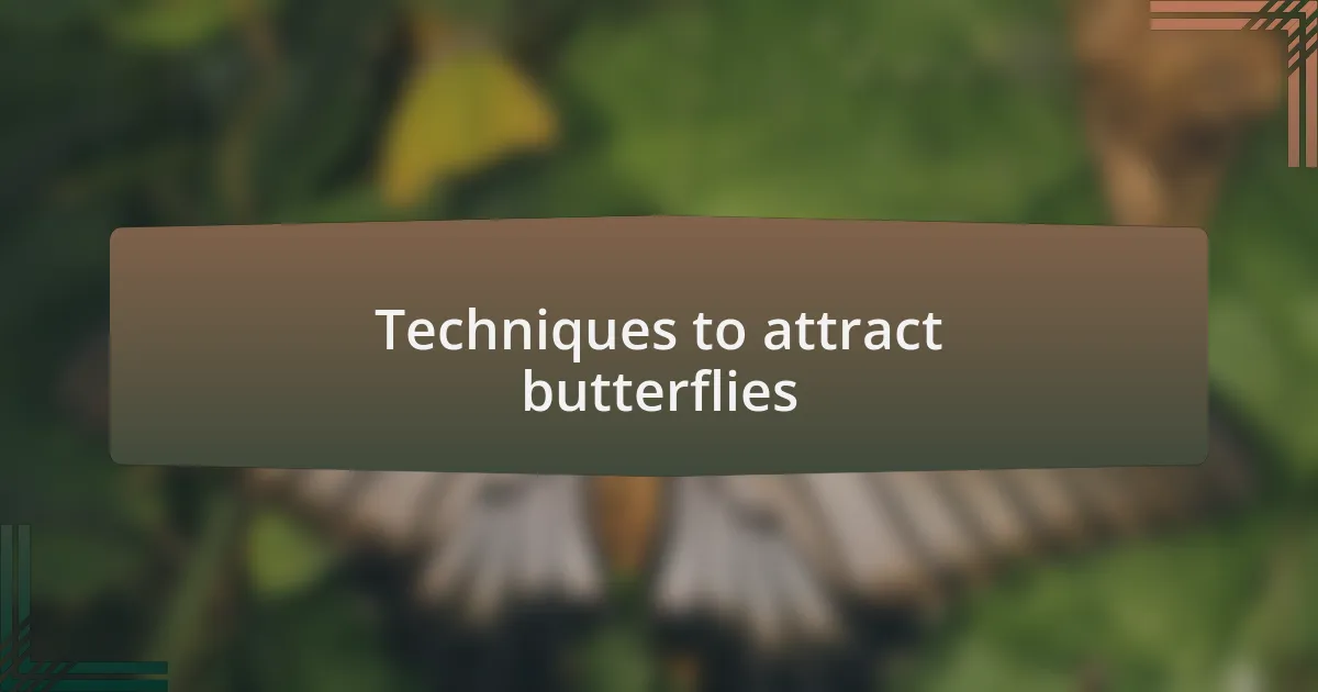 Techniques to attract butterflies
