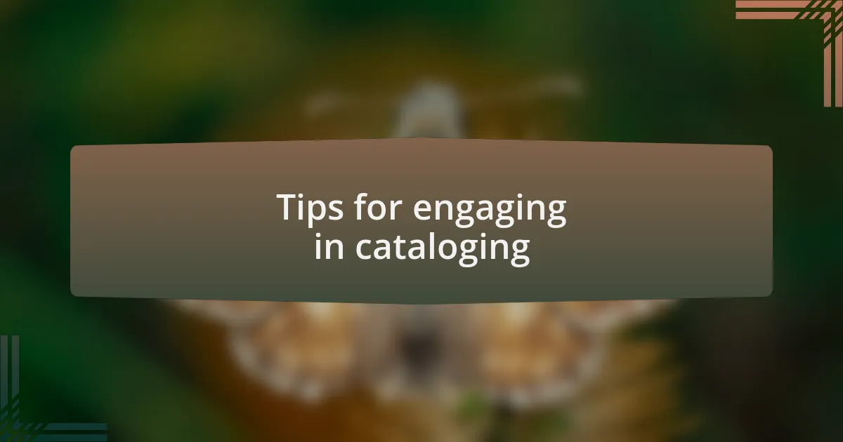 Tips for engaging in cataloging