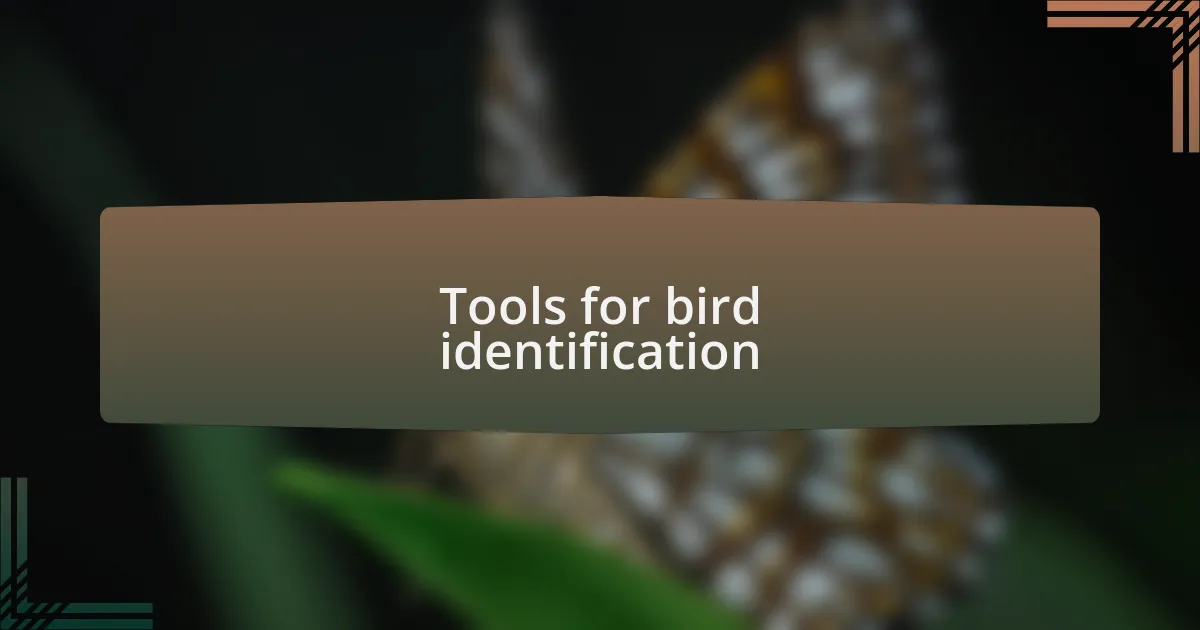 Tools for bird identification