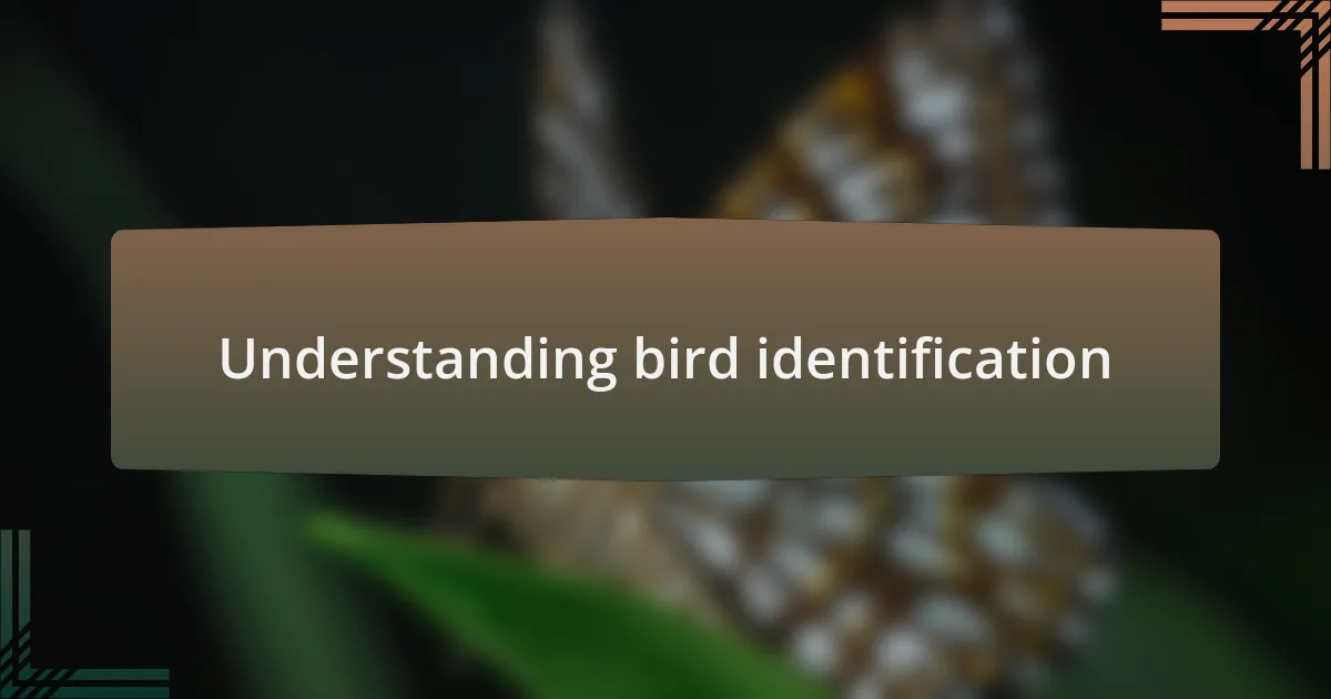 Understanding bird identification