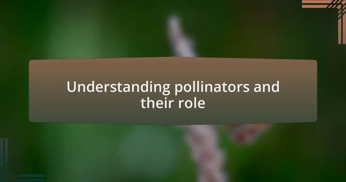 Understanding pollinators and their role