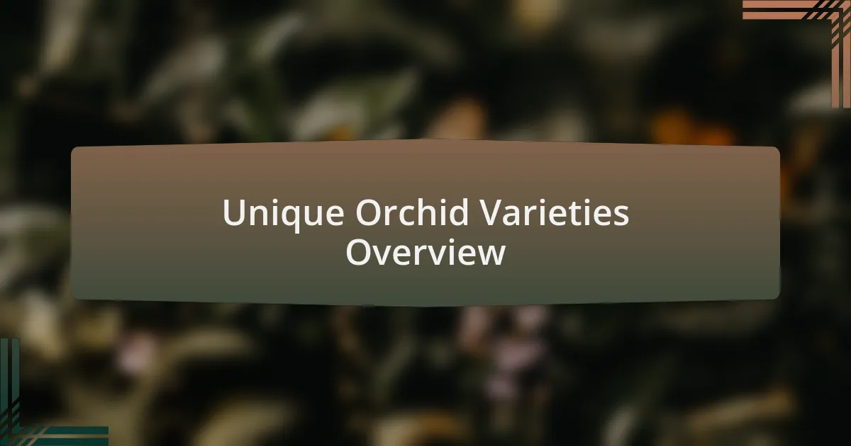 Unique Orchid Varieties Overview